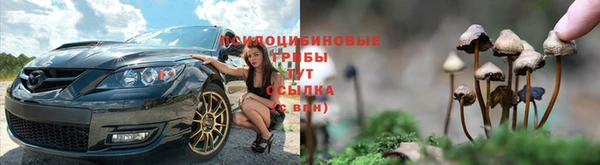 дурь Бронницы