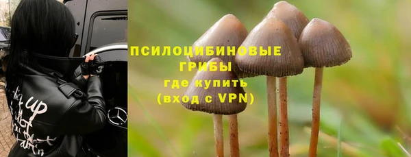 мескалин Бородино