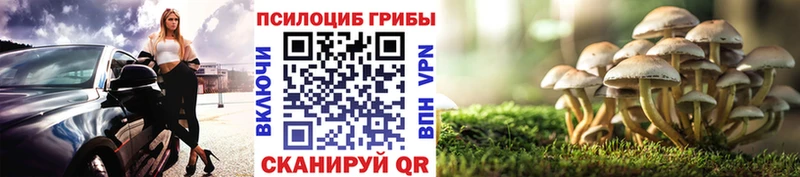 закладка MEGA маркетплейс Псилоцибиновые грибы Psilocybe Медвежьегорск