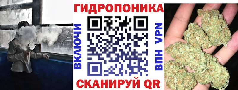 где купить   Медвежьегорск  Каннабис Amnesia 